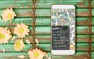 Bike to Work Day mobile app