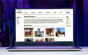 Spirit Winds Ranch WordPress Website
